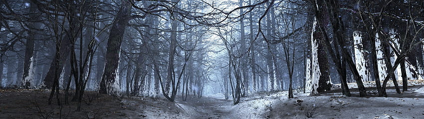 The Hushed Forest.jpg